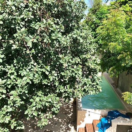 Casa "La 44" Bed & Breakfast Mérida Dış mekan fotoğraf