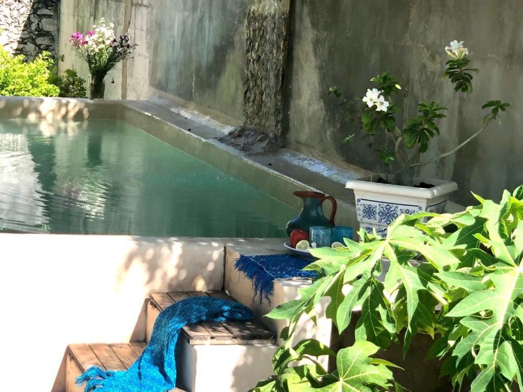 Casa "La 44" Bed & Breakfast Mérida Dış mekan fotoğraf