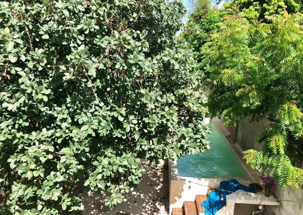 Casa "La 44" Bed & Breakfast Mérida Dış mekan fotoğraf